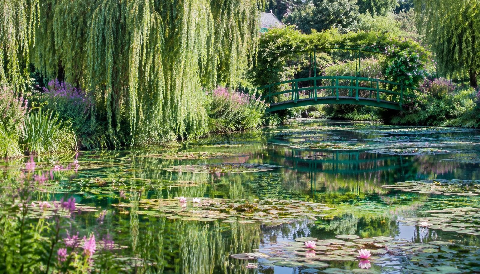 Bassin aux nymphéas et pont japonais vert des jardins de Claude Monet à Giverny